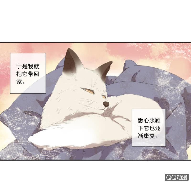 《百妖异闻》07话-棒打鸳鸯 第17页