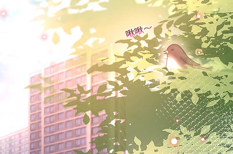 《盛世甜爱易少的小萌妻》第82话 情场失意 第3页