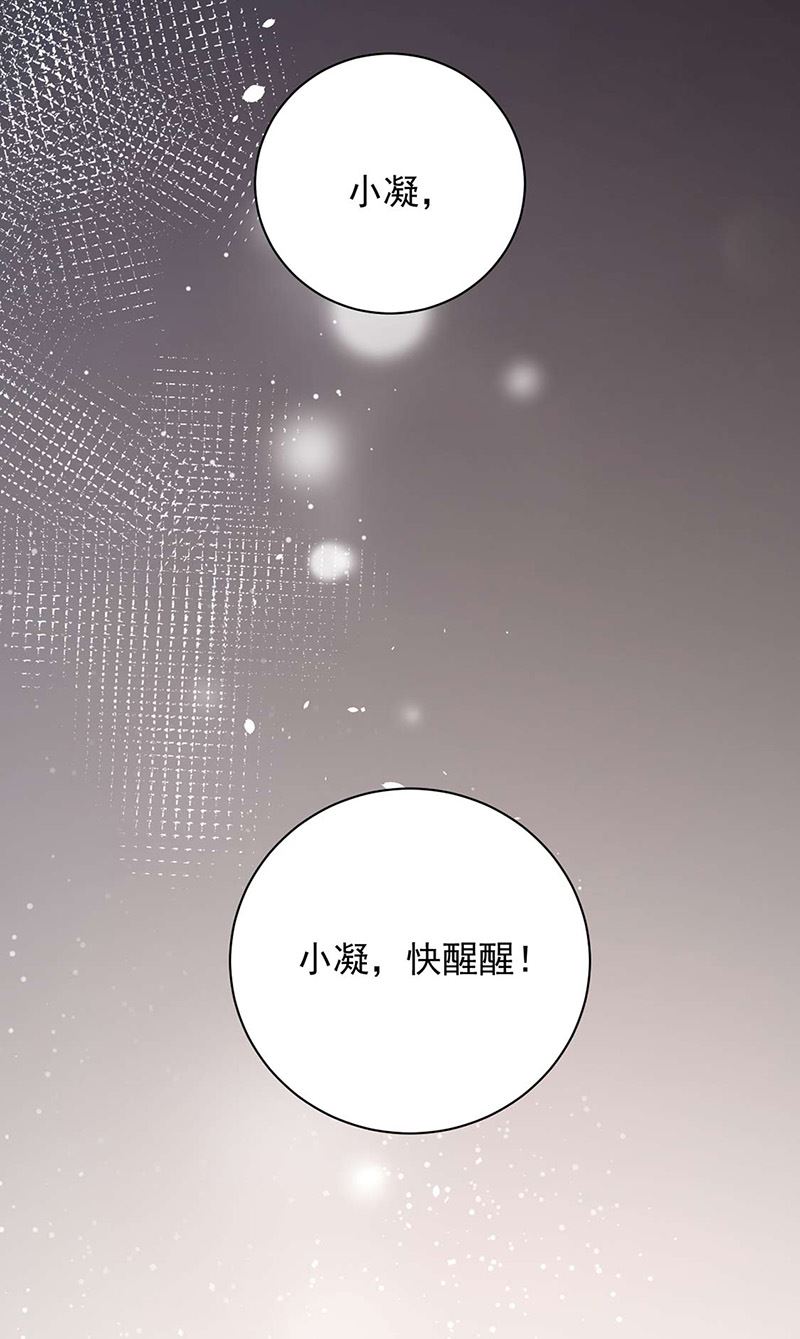 《盛世甜爱易少的小萌妻》第92话 我记不起他们的样子！ 第4页