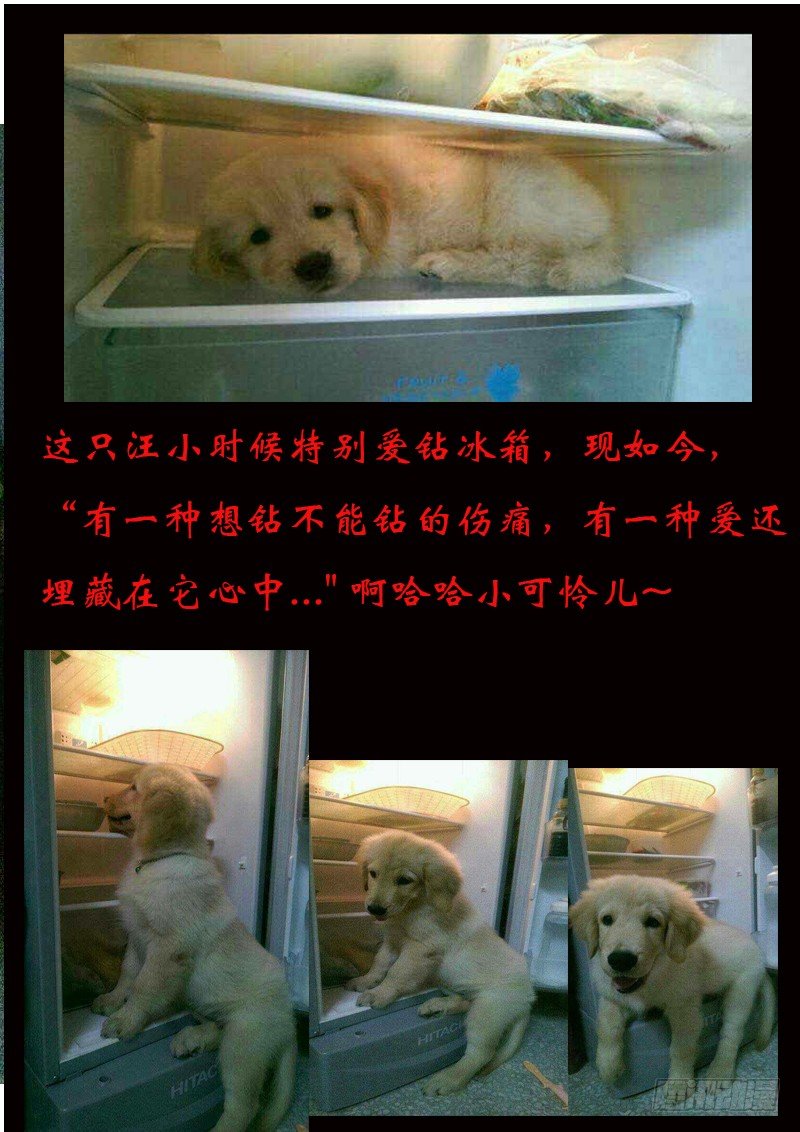 《神仙老大王小明》中奖名单 第2页