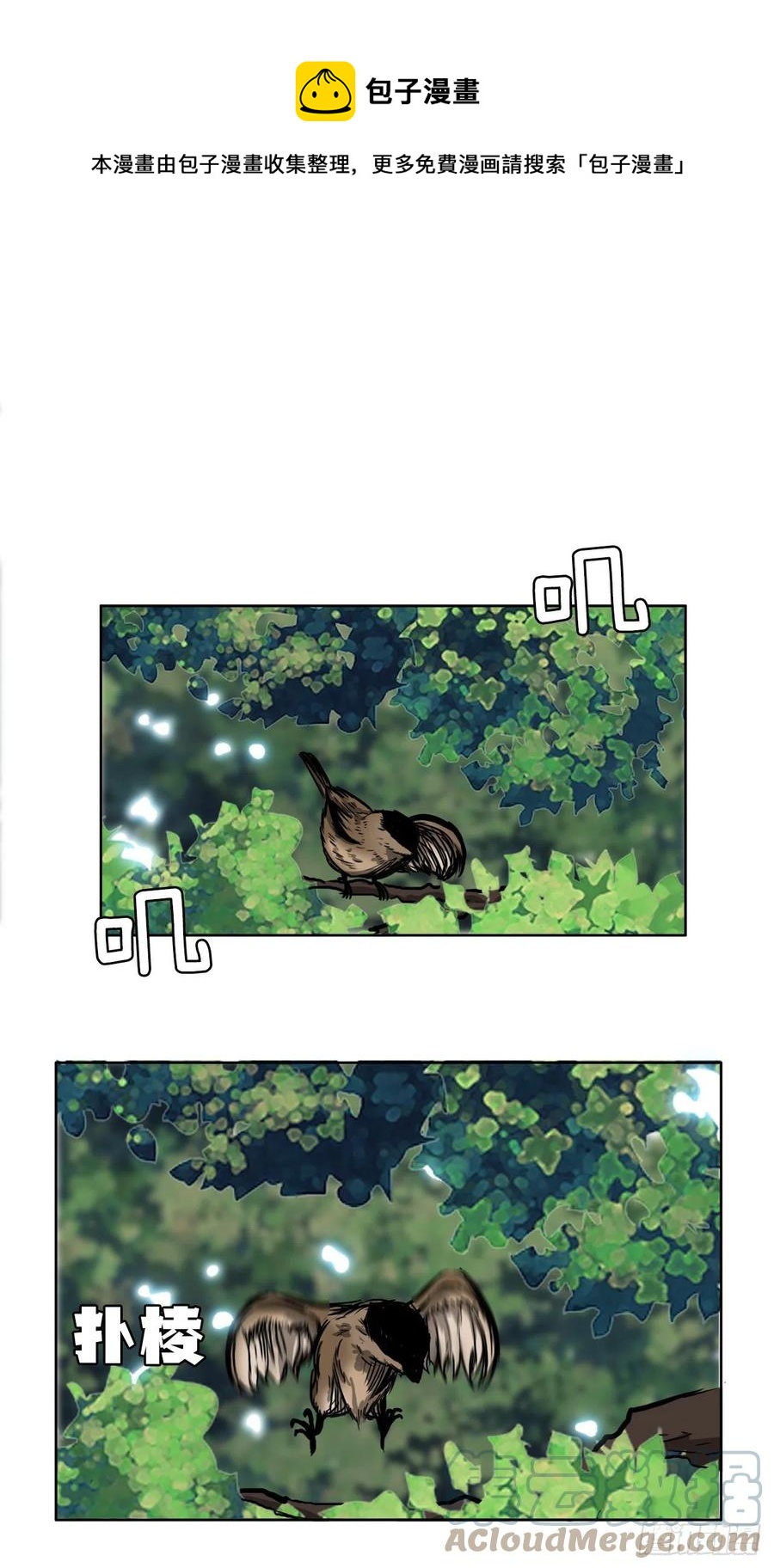 《BOSS IN WONDERLAND》42.万刀帮的威胁 第1页
