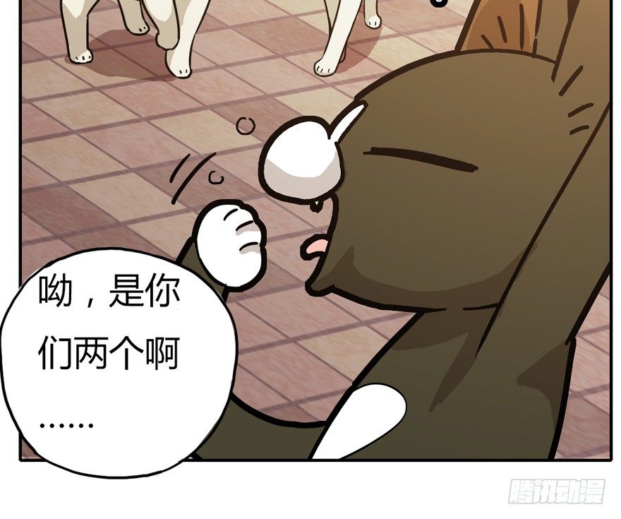 《回到过去变成猫外传》第4爪 香！真香！ 第10页