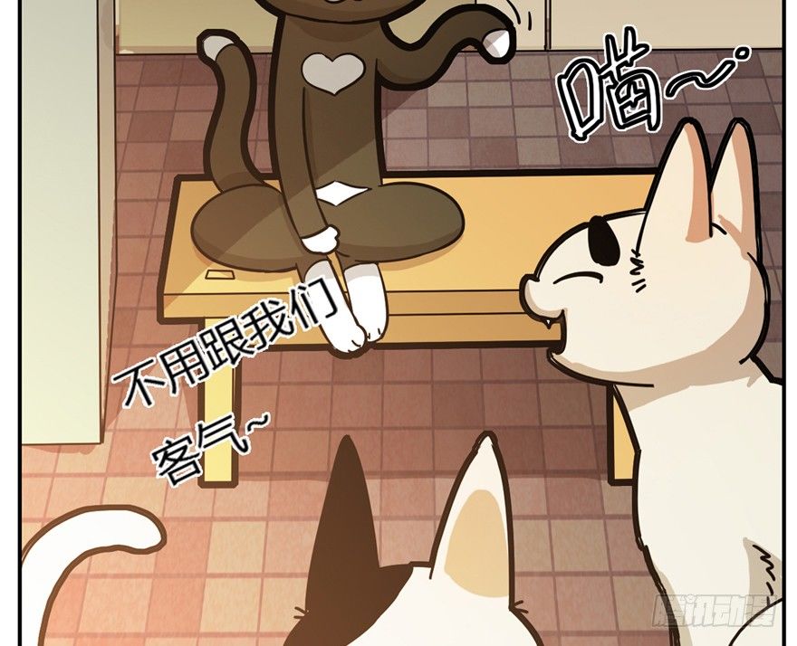 《回到过去变成猫外传》第4爪 香！真香！ 第12页