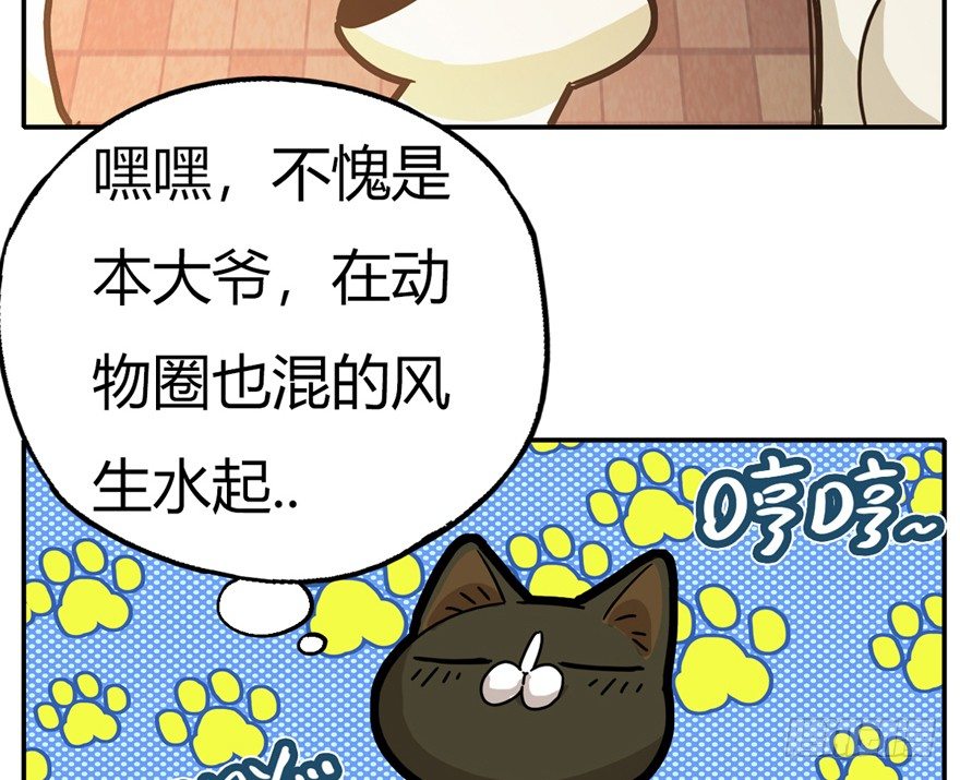 《回到过去变成猫外传》第4爪 香！真香！ 第13页