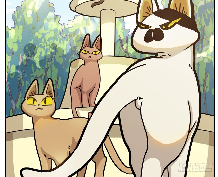 《回到过去变成猫外传》第4爪 香！真香！ 第16页
