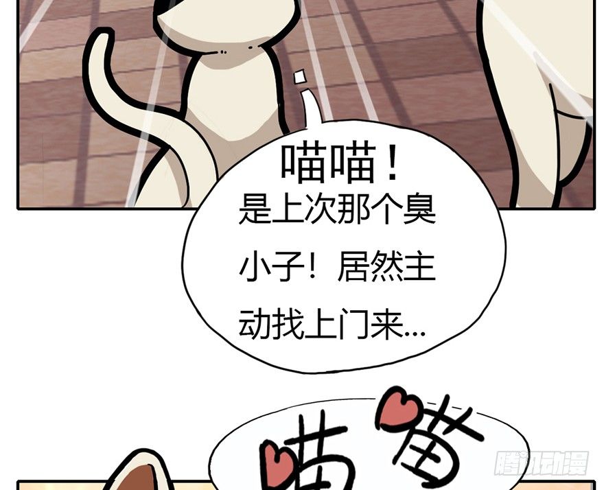 《回到过去变成猫外传》第4爪 香！真香！ 第19页