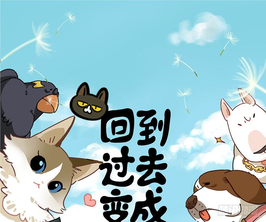《回到过去变成猫外传》第4爪 香！真香！ 第1页
