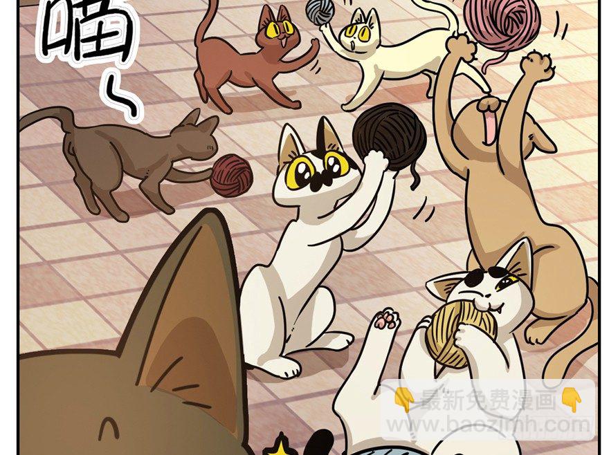 《回到过去变成猫外传》第4爪 香！真香！ 第22页
