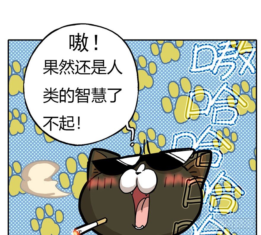 《回到过去变成猫外传》第4爪 香！真香！ 第31页