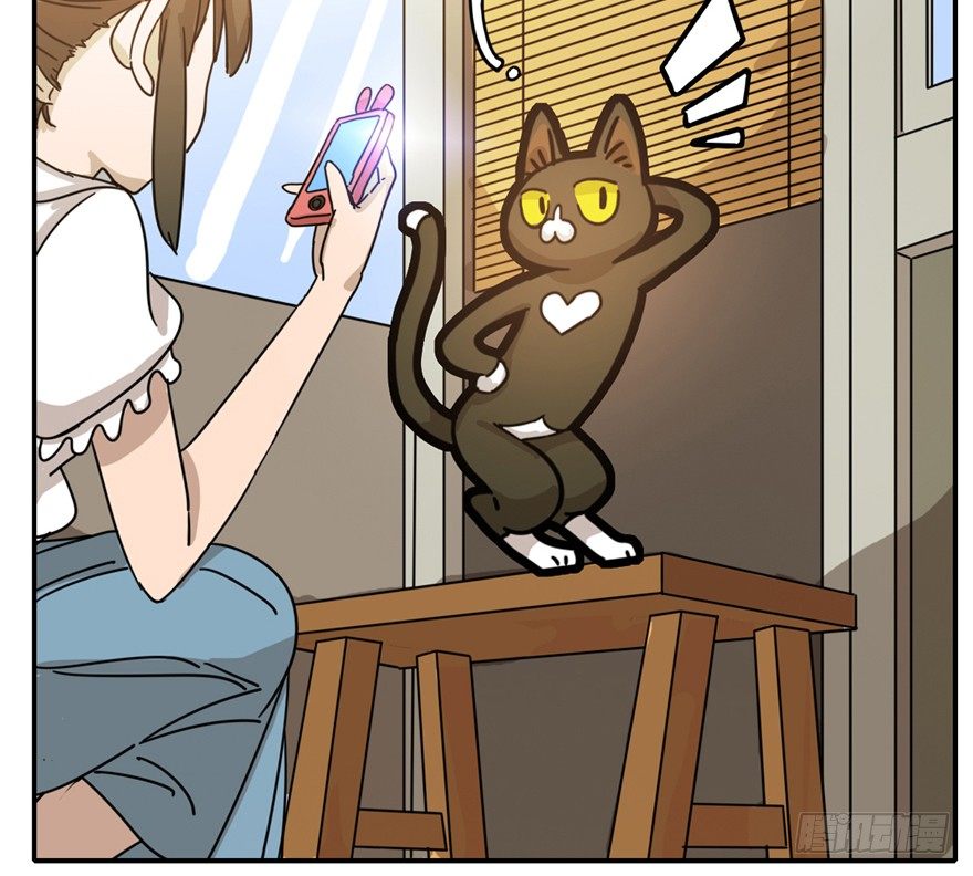 《回到过去变成猫外传》第4爪 香！真香！ 第37页