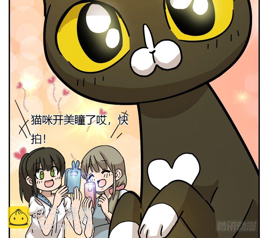 《回到过去变成猫外传》第4爪 香！真香！ 第39页