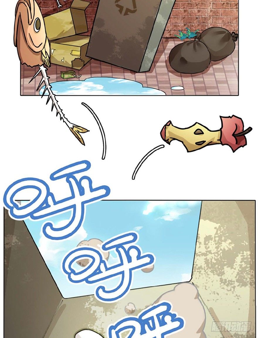 《回到过去变成猫外传》第1爪 猫？猫！ 第14页