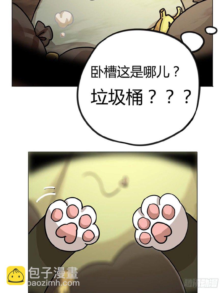 《回到过去变成猫外传》第1爪 猫？猫！ 第17页
