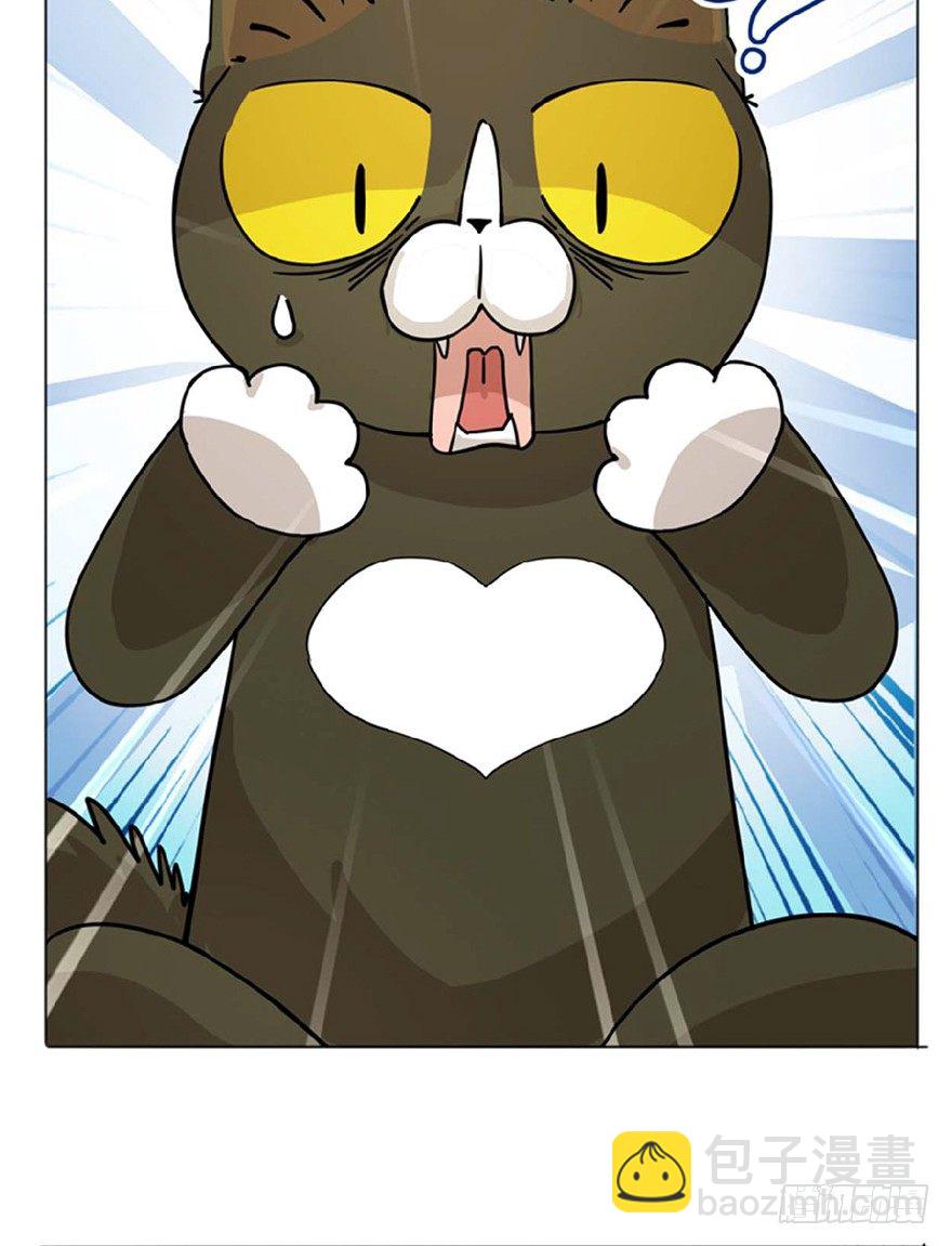 《回到过去变成猫外传》第1爪 猫？猫！ 第19页
