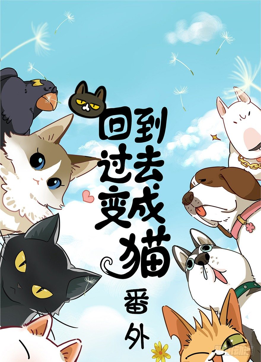 《回到过去变成猫外传》第1爪 猫？猫！ 第1页