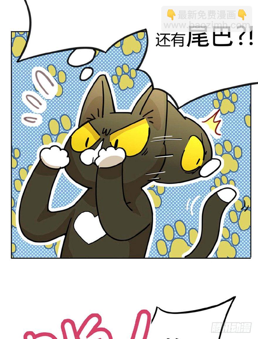 《回到过去变成猫外传》第1爪 猫？猫！ 第21页