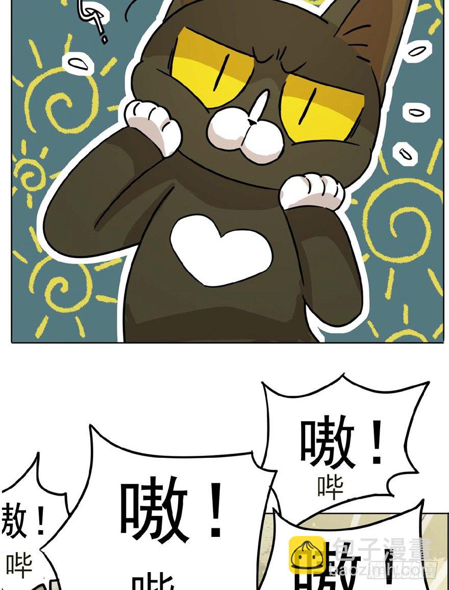 《回到过去变成猫外传》第1爪 猫？猫！ 第24页
