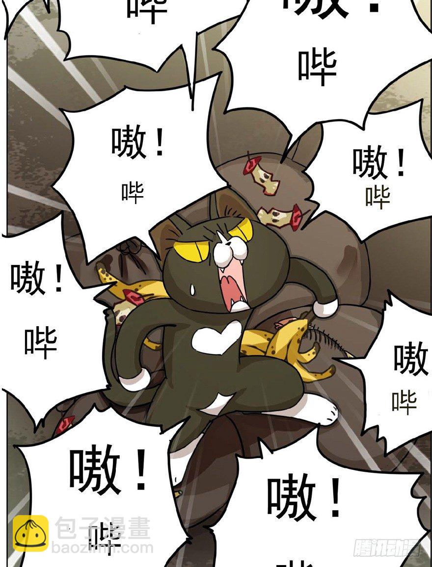 《回到过去变成猫外传》第1爪 猫？猫！ 第25页