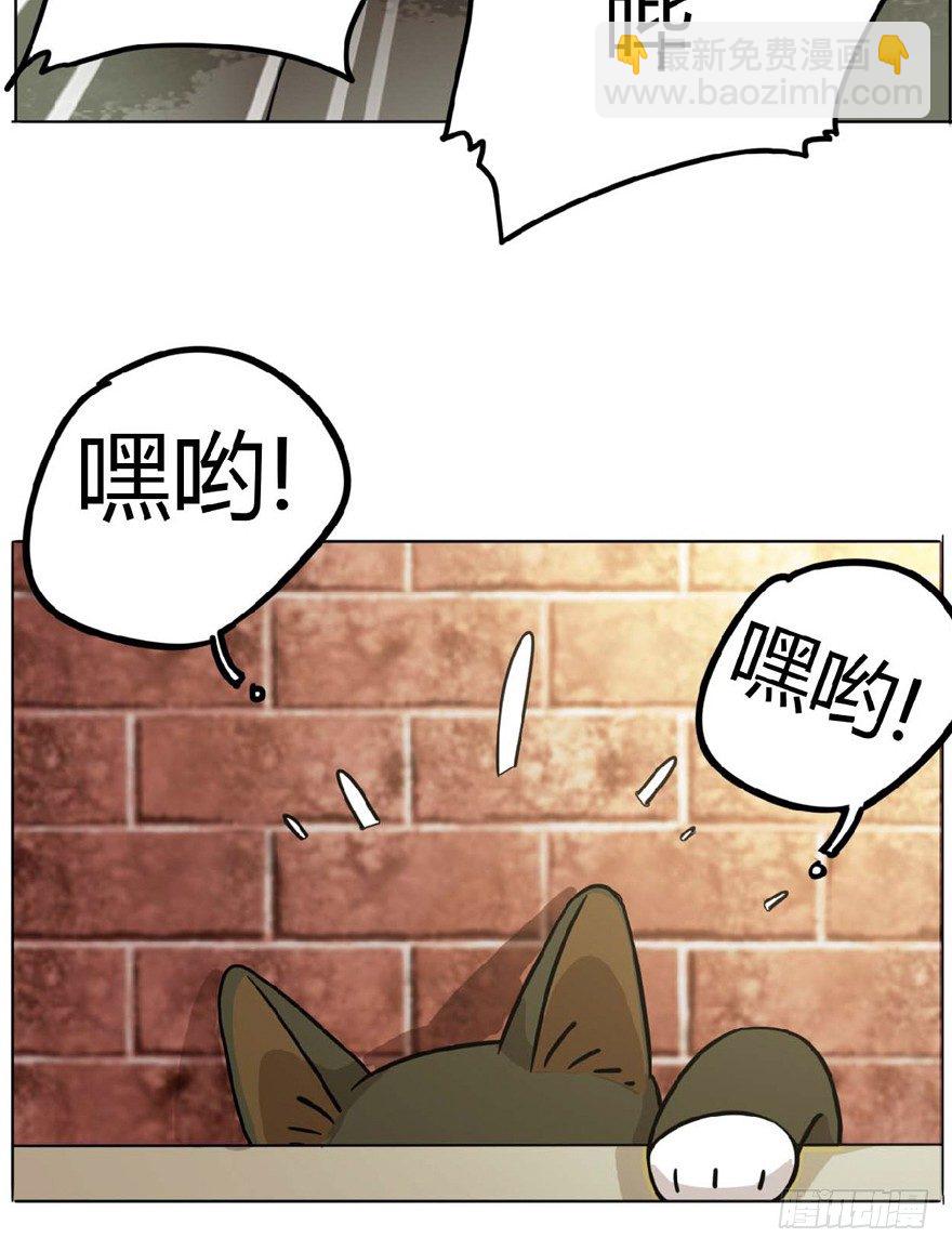 《回到过去变成猫外传》第1爪 猫？猫！ 第26页