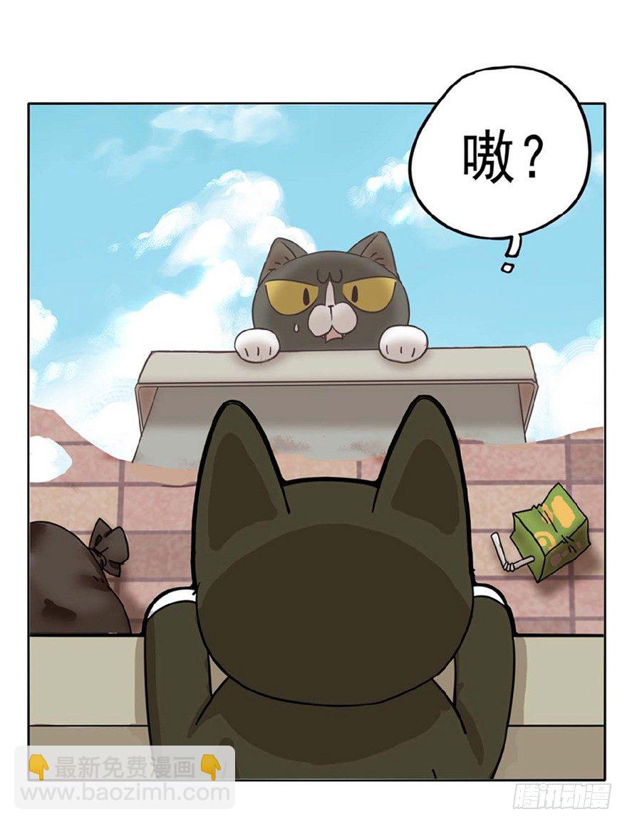 《回到过去变成猫外传》第1爪 猫？猫！ 第27页
