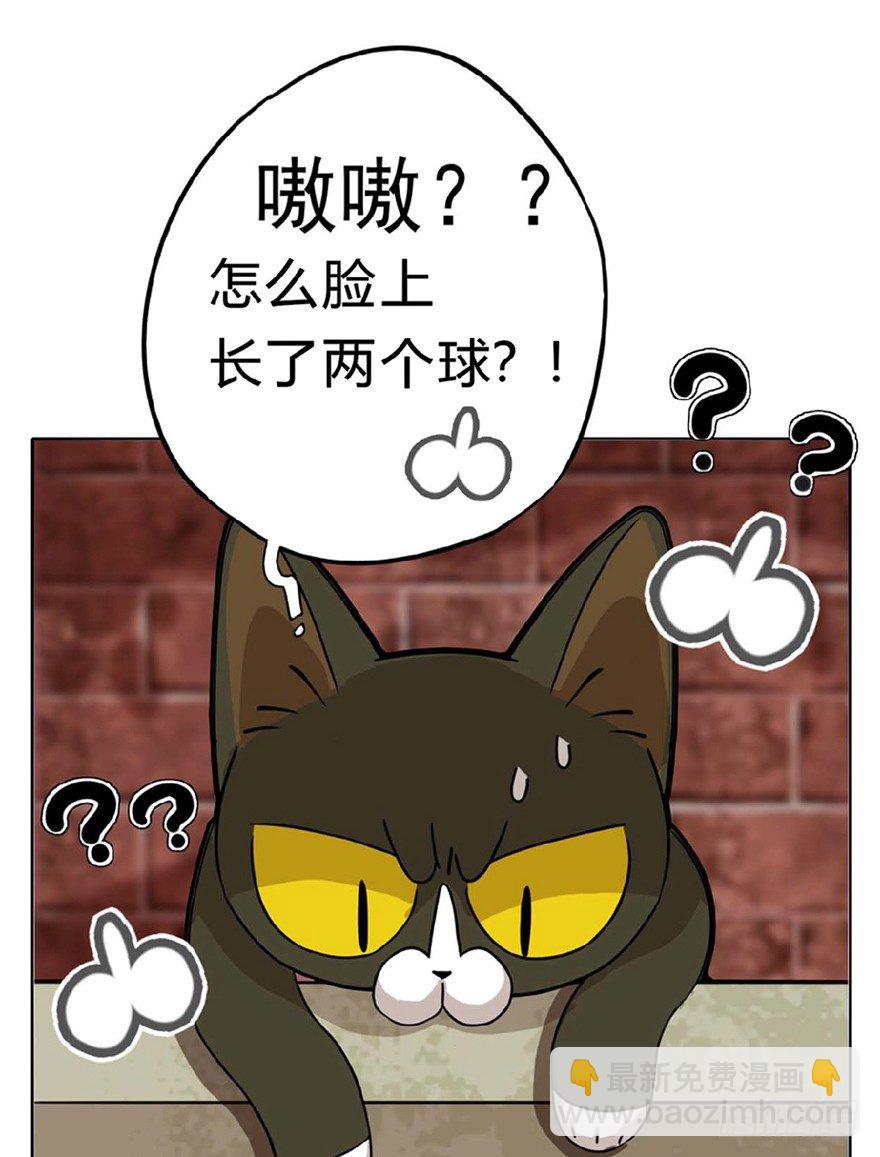 《回到过去变成猫外传》第1爪 猫？猫！ 第28页