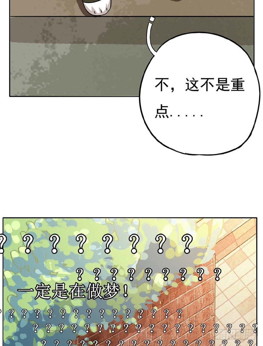 《回到过去变成猫外传》第1爪 猫？猫！ 第29页