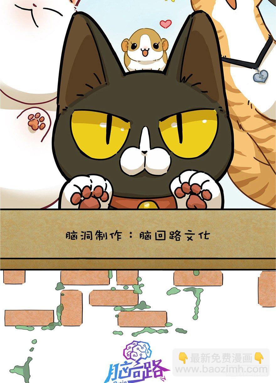 《回到过去变成猫外传》第1爪 猫？猫！ 第2页