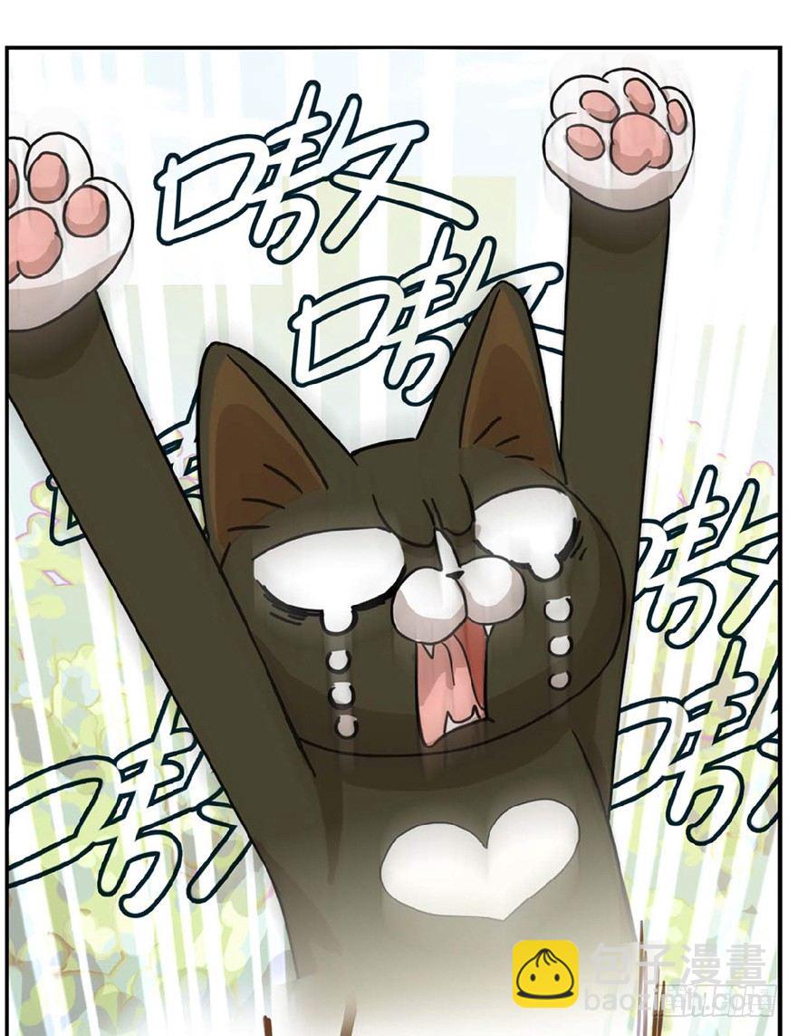 《回到过去变成猫外传》第1爪 猫？猫！ 第31页