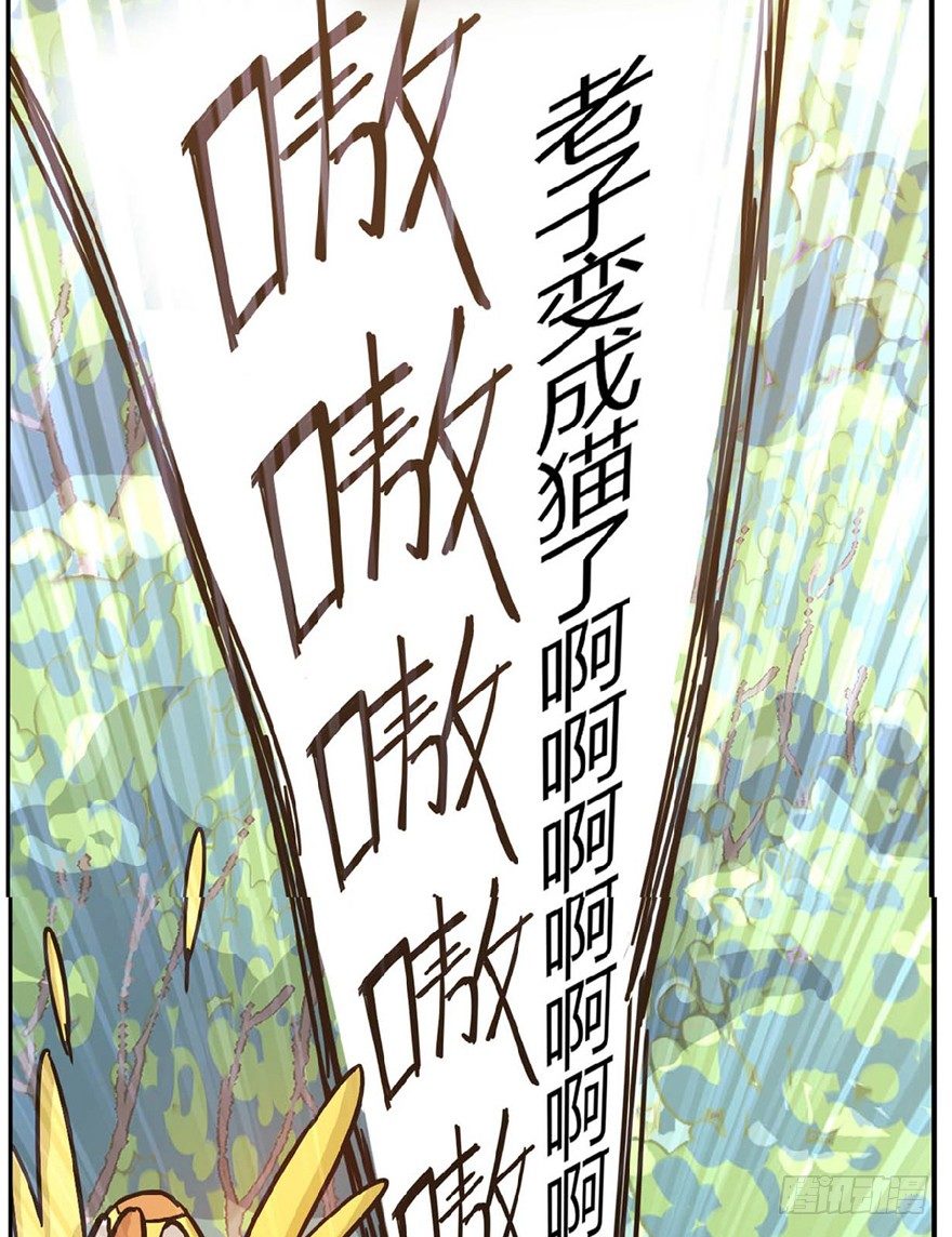 《回到过去变成猫外传》第1爪 猫？猫！ 第32页
