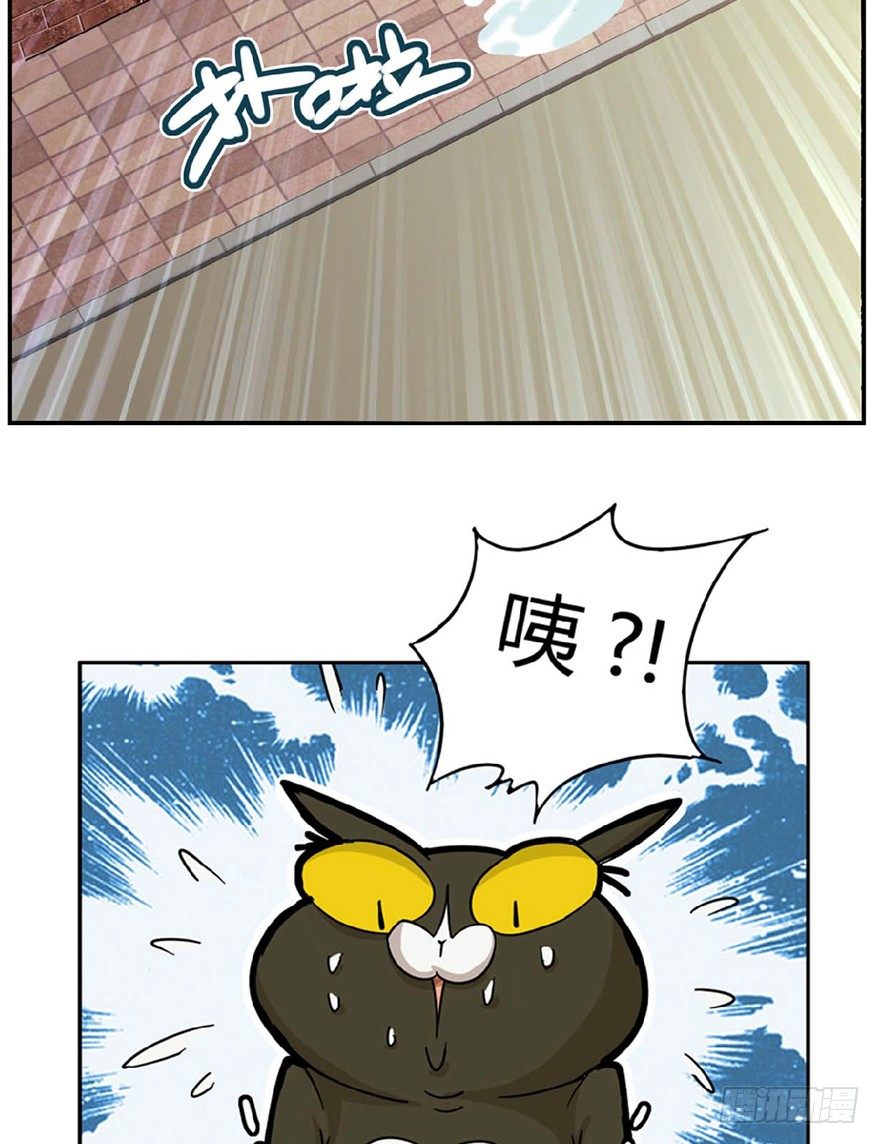 《回到过去变成猫外传》第1爪 猫？猫！ 第34页