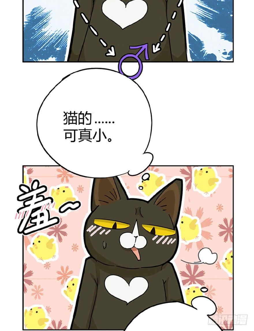 《回到过去变成猫外传》第1爪 猫？猫！ 第35页