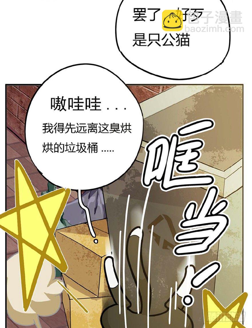 《回到过去变成猫外传》第1爪 猫？猫！ 第36页