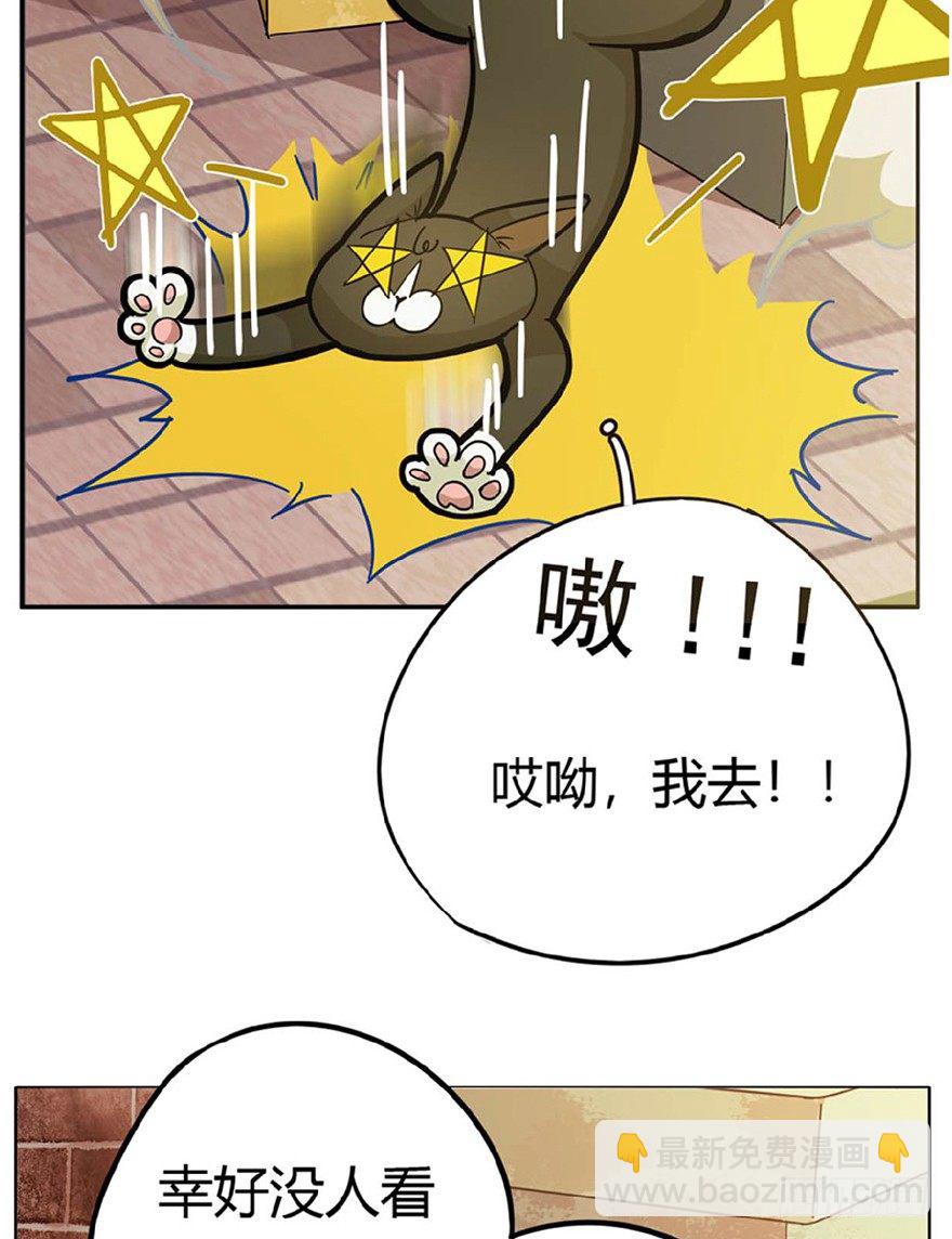 《回到过去变成猫外传》第1爪 猫？猫！ 第37页