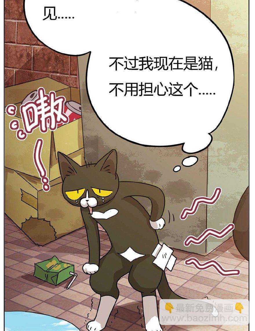 《回到过去变成猫外传》第1爪 猫？猫！ 第38页