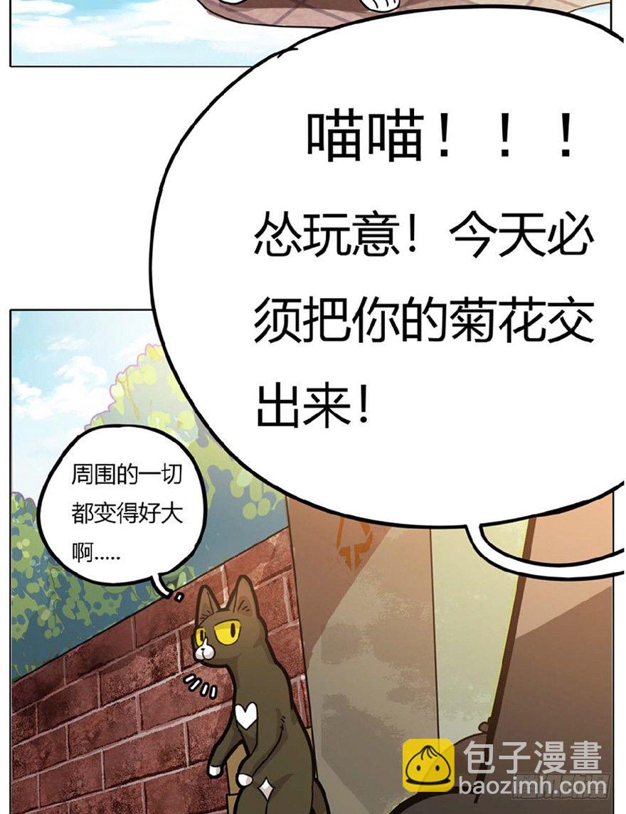 《回到过去变成猫外传》第1爪 猫？猫！ 第39页