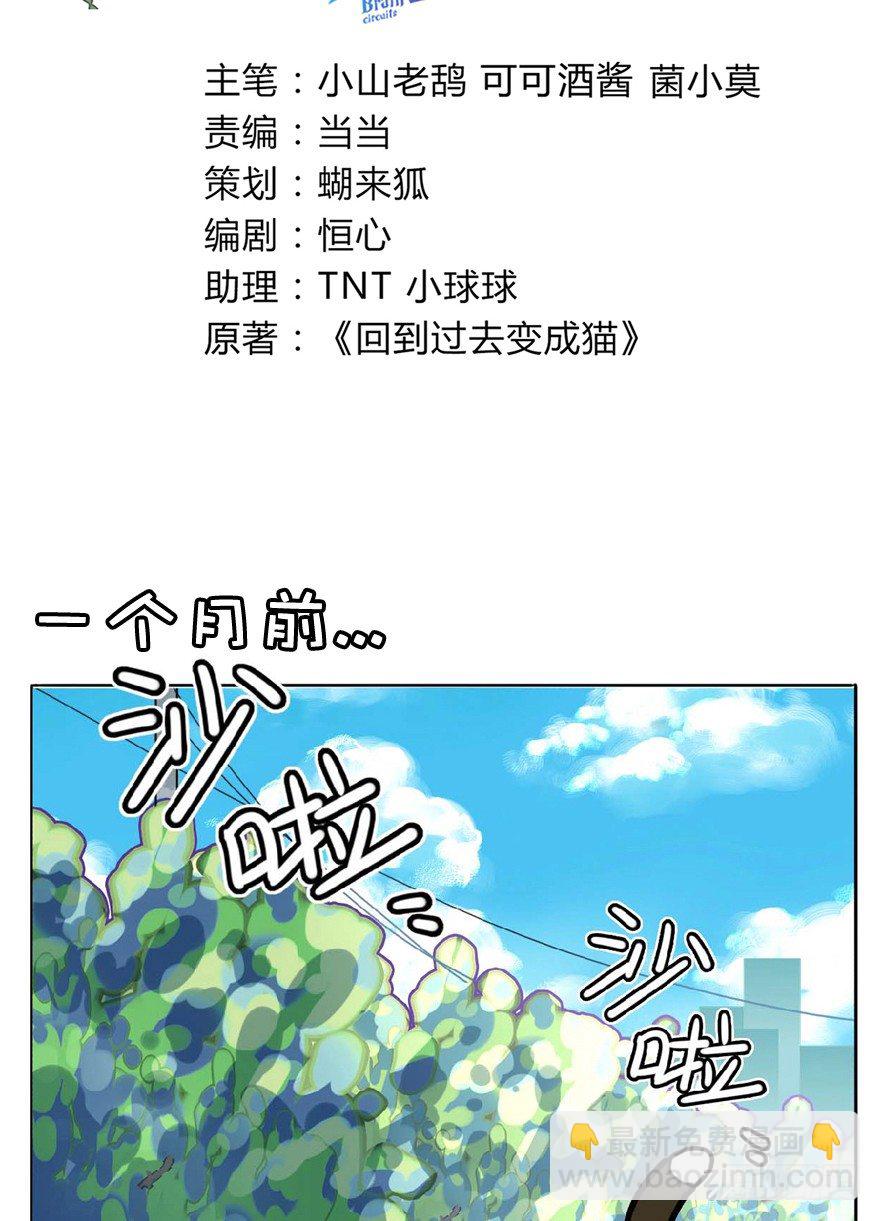 《回到过去变成猫外传》第1爪 猫？猫！ 第3页