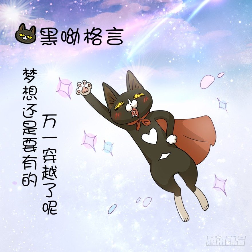《回到过去变成猫外传》第1爪 猫？猫！ 第41页