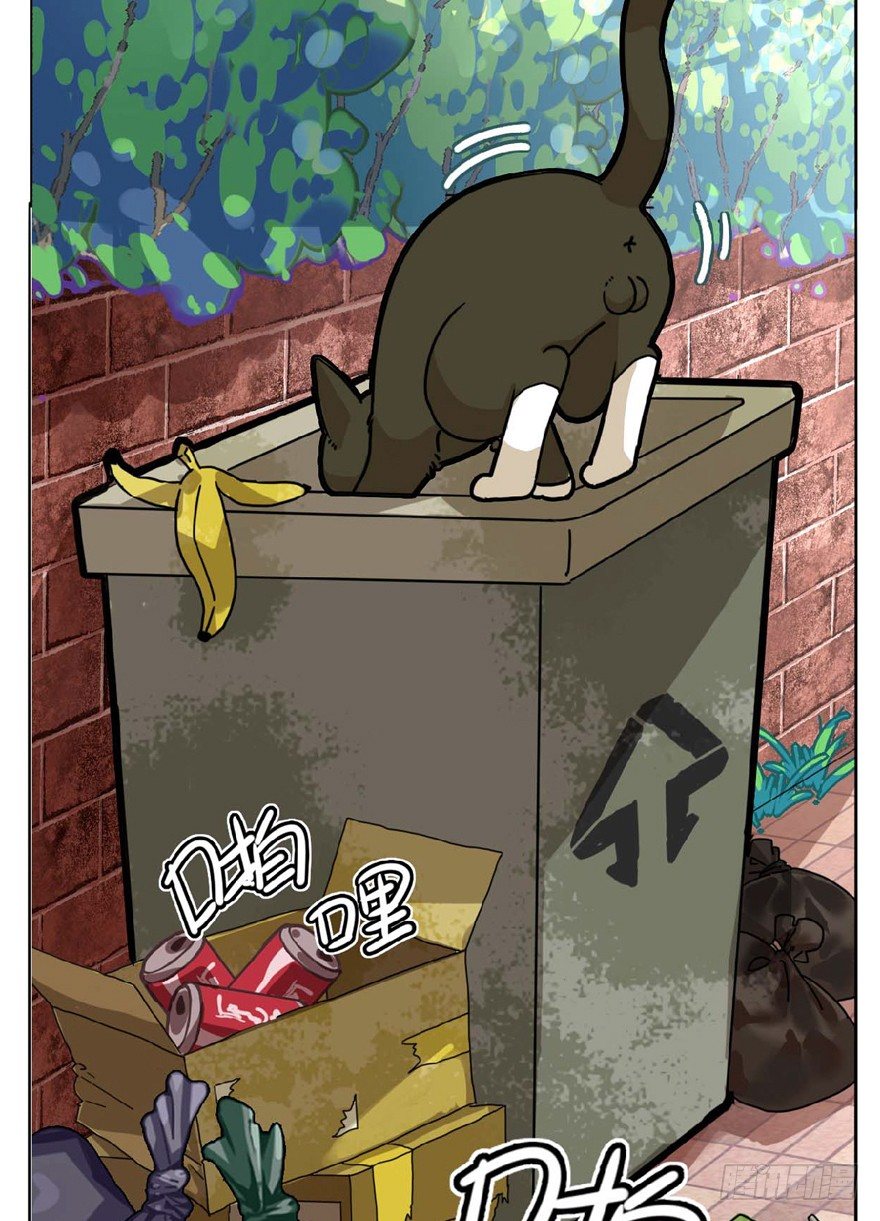 《回到过去变成猫外传》第1爪 猫？猫！ 第4页