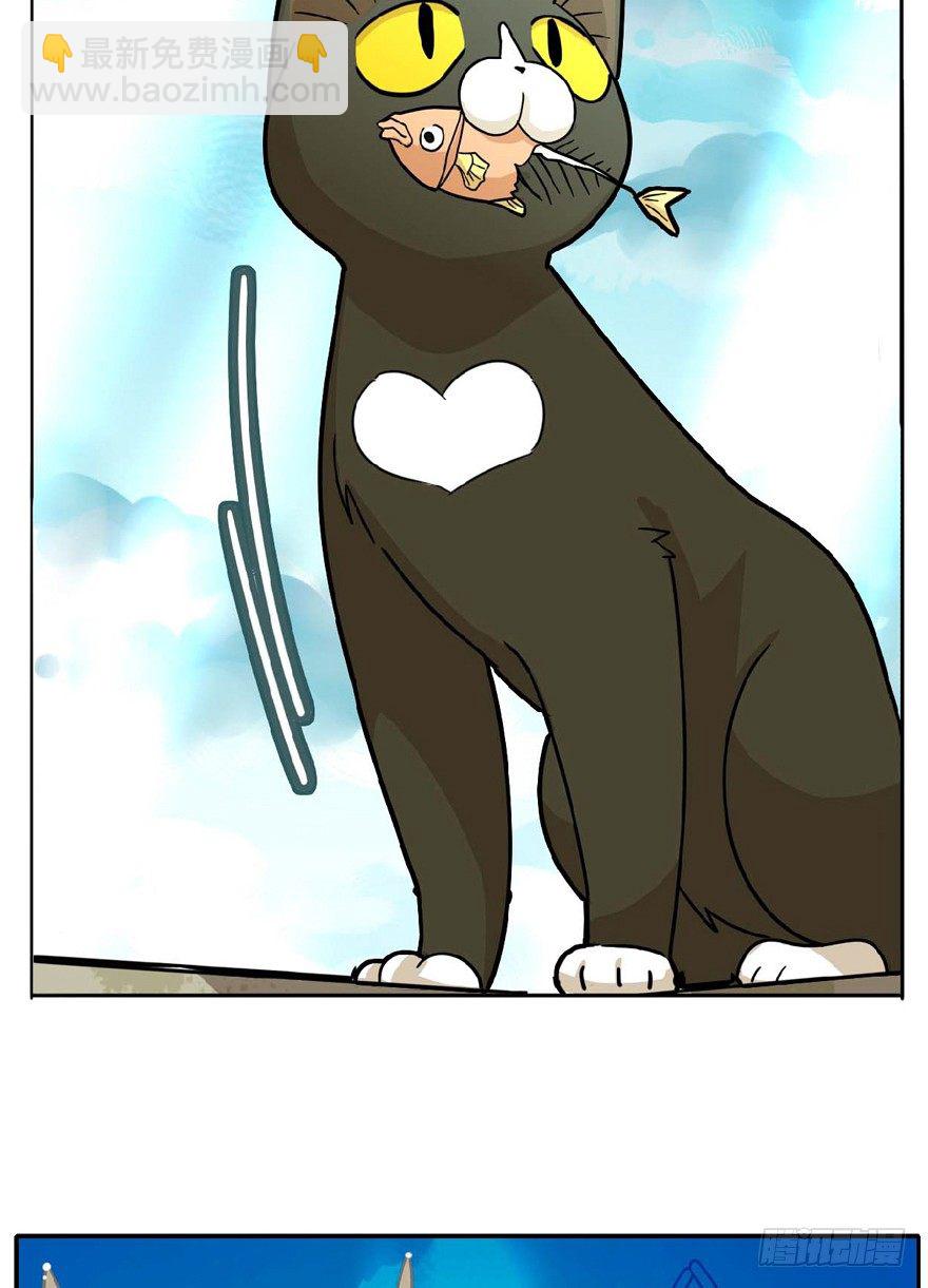 《回到过去变成猫外传》第1爪 猫？猫！ 第6页