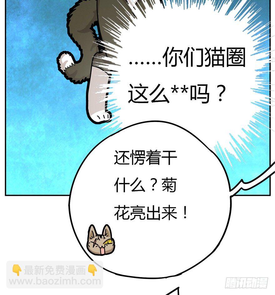 《回到过去变成猫外传》第2爪 做猫第一课（上） 第10页