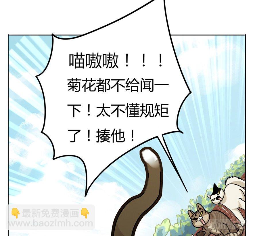 《回到过去变成猫外传》第2爪 做猫第一课（上） 第11页