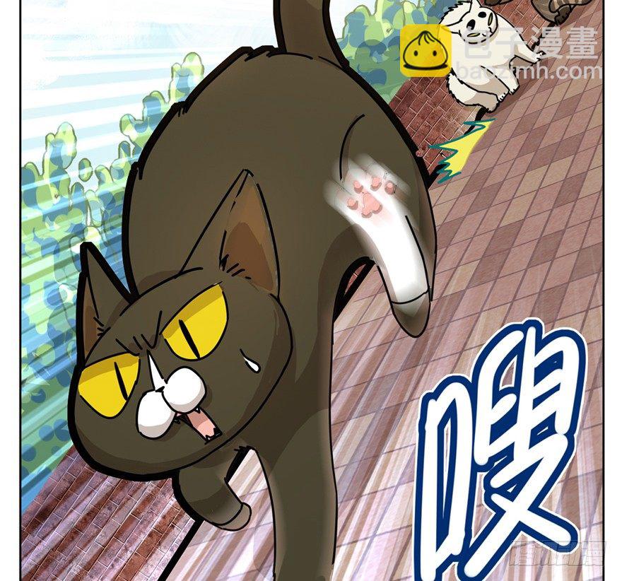 《回到过去变成猫外传》第2爪 做猫第一课（上） 第12页