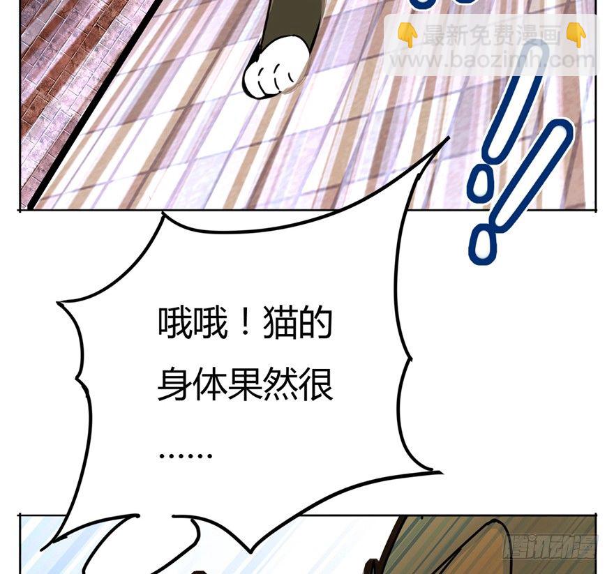 《回到过去变成猫外传》第2爪 做猫第一课（上） 第13页