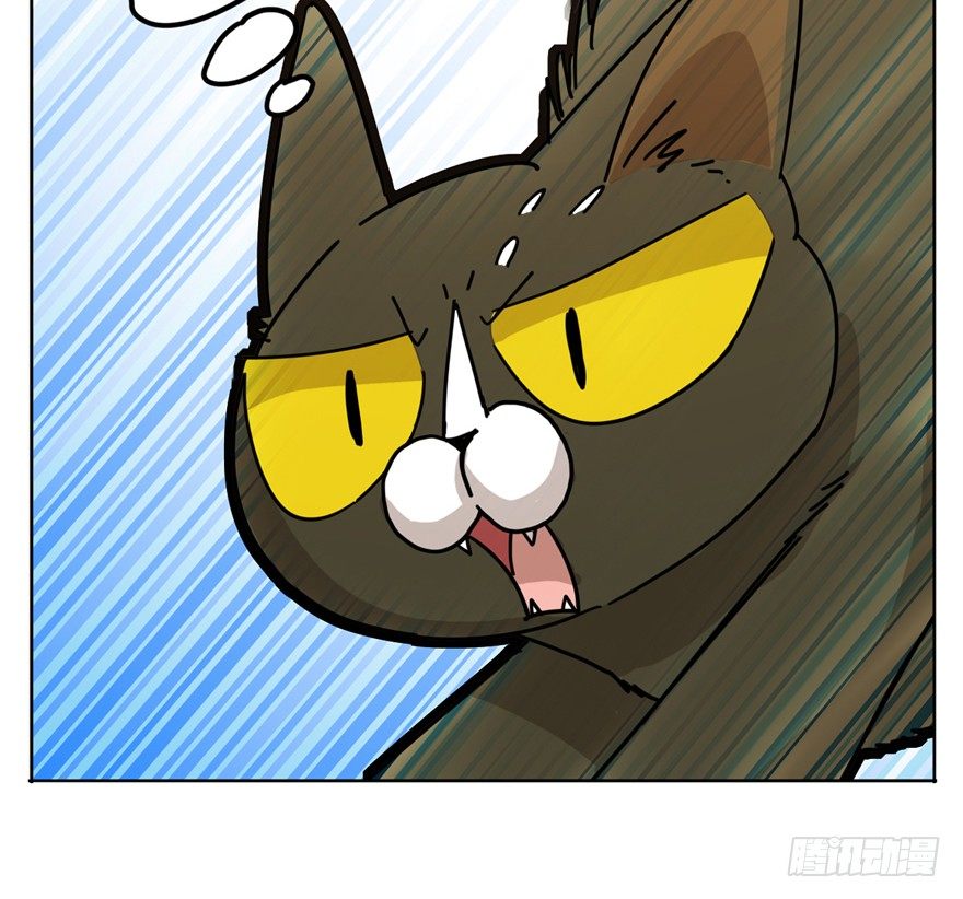 《回到过去变成猫外传》第2爪 做猫第一课（上） 第14页