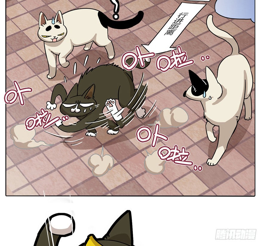 《回到过去变成猫外传》第2爪 做猫第一课（上） 第16页