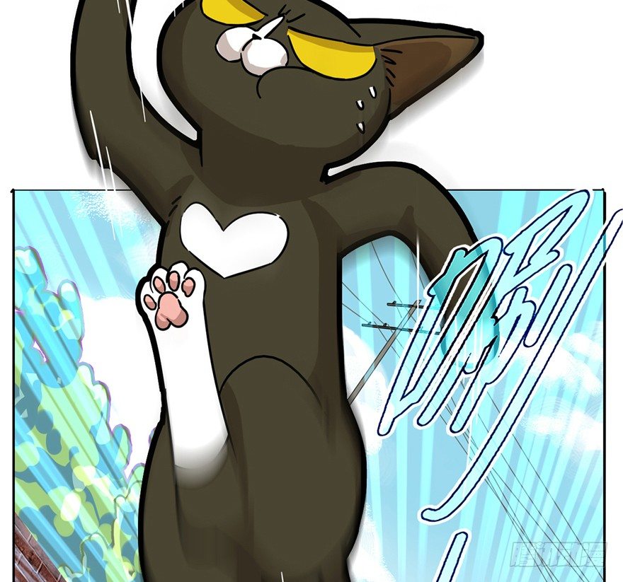 《回到过去变成猫外传》第2爪 做猫第一课（上） 第17页