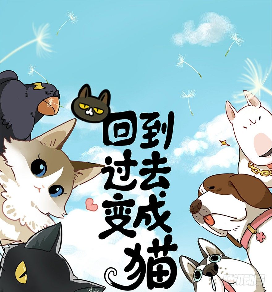 《回到过去变成猫外传》第2爪 做猫第一课（上） 第1页