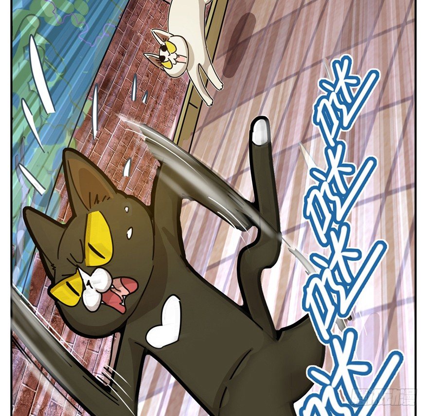 《回到过去变成猫外传》第2爪 做猫第一课（上） 第22页