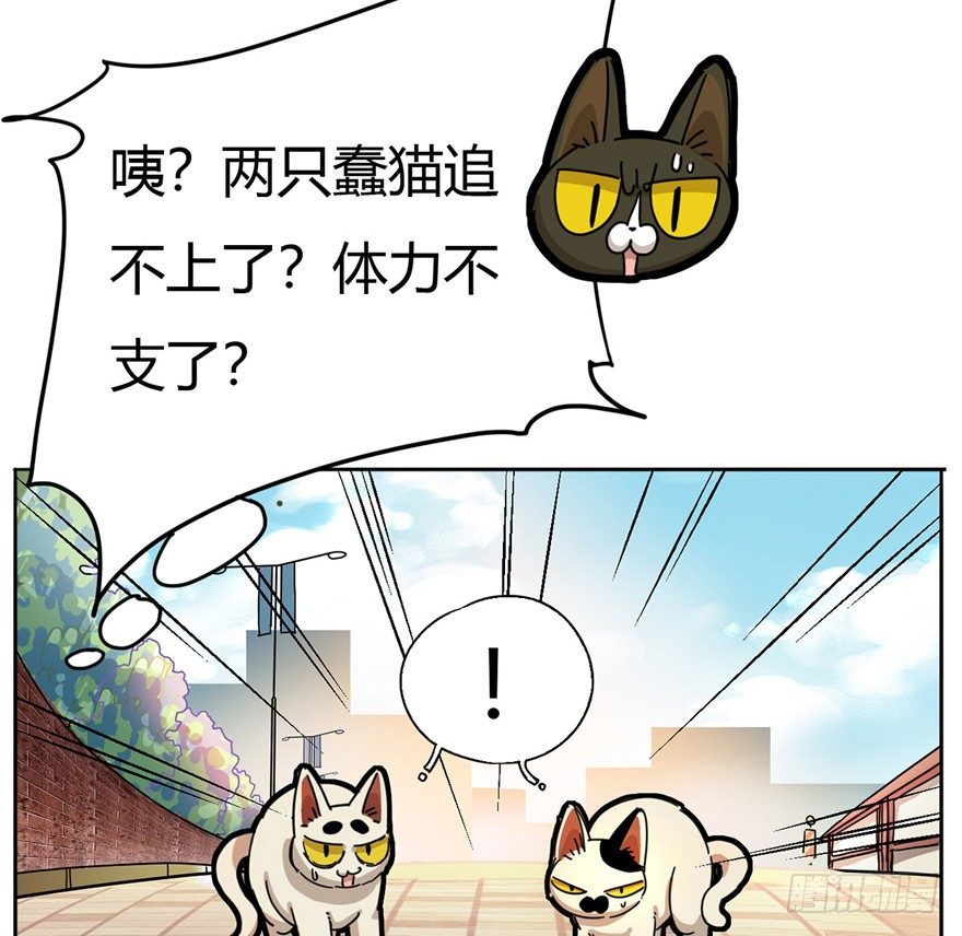 《回到过去变成猫外传》第2爪 做猫第一课（上） 第24页