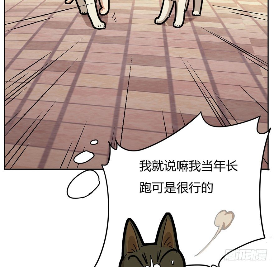 《回到过去变成猫外传》第2爪 做猫第一课（上） 第25页